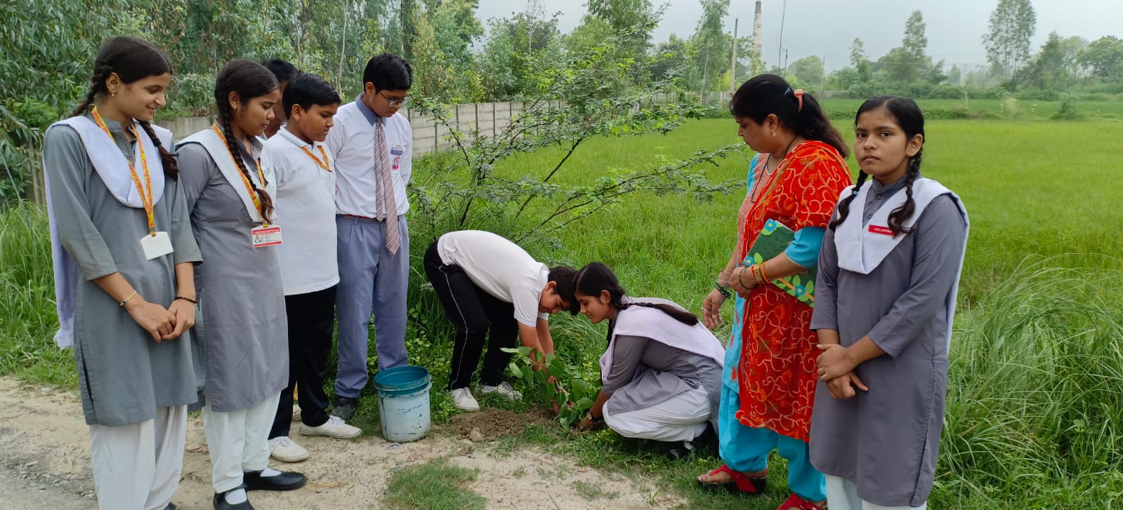 Plantation Drive - Environmental Care